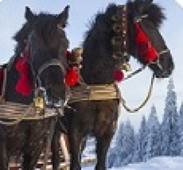 Зима выходного дня: путешествуем по Украине вместе с Goodyear