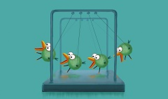 В «Фокстроте» поселились добрые птицы