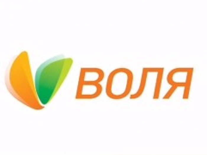 Нескучная квартира ВОЛИ