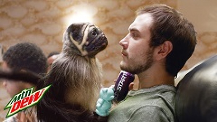 В Киеве покажут самую дорогую рекламу 2016 года