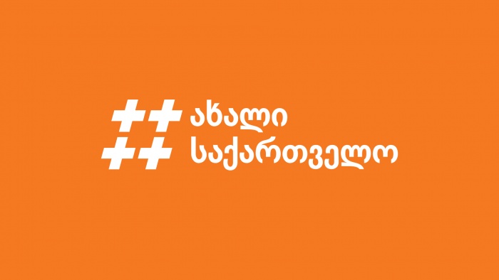 FEDORIV создало бренд для Гражданской платформы «Новая Грузия»