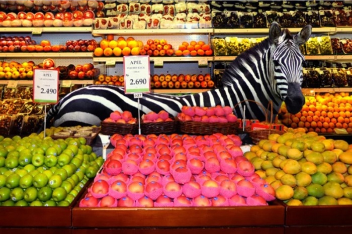 Топ-10 самых прибыльных розничных сетей в мире