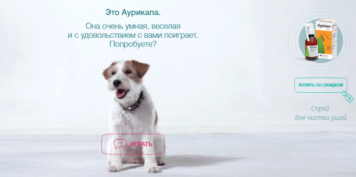 Собака-понимака в проекте ITCG для препарата «Аурикап»