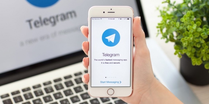 Telegram представил улучшенный поиск по каналам и ботам в новой версии