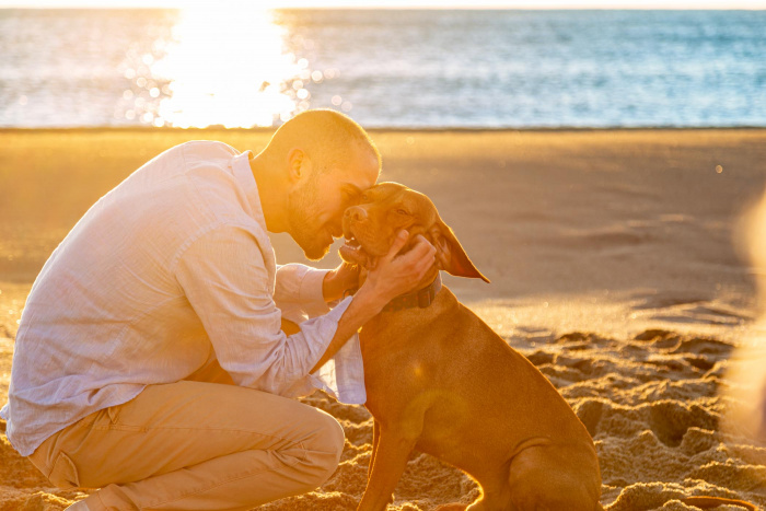 MoPETS: истории любви для владельцев домашних животных от Serviceplan