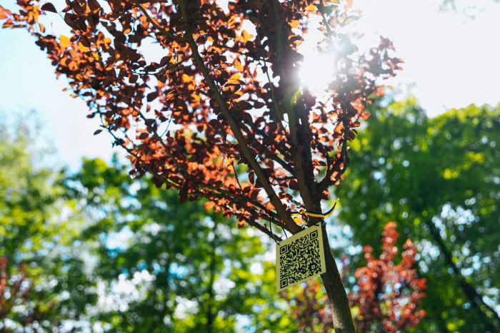 EVA створила у Дніпрі Алею пам’яті на честь загиблих співробітників