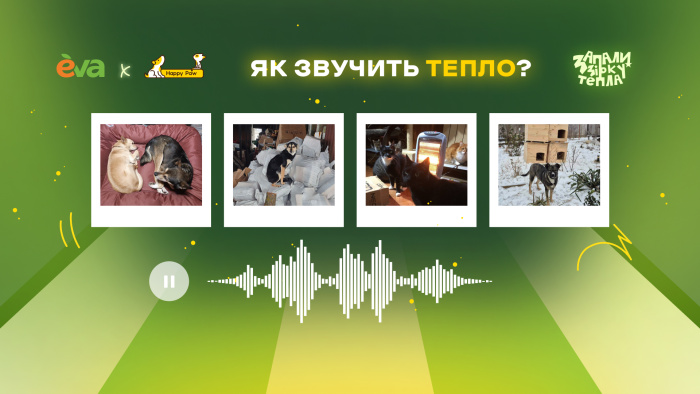 Як звучить тепло? Happy Paw і Мережа магазинів EVA зігріли 17 740 безхатніх тварин по всій Україні