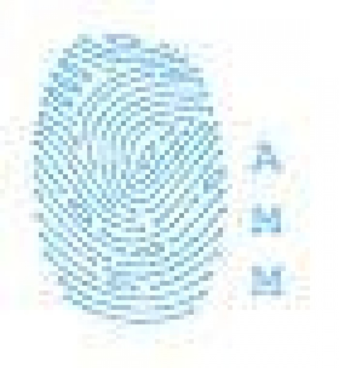 AMM/Vizeum рассказал о тонкостях медиа-планирования в кризисный период