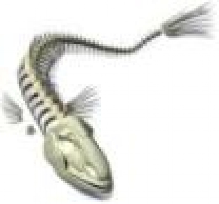 Пир во время кризиса