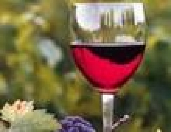 ТМ «Шабо» в очередной раз стала генеральным партнером  Международной специализированной выставки «Вино и виноделие»