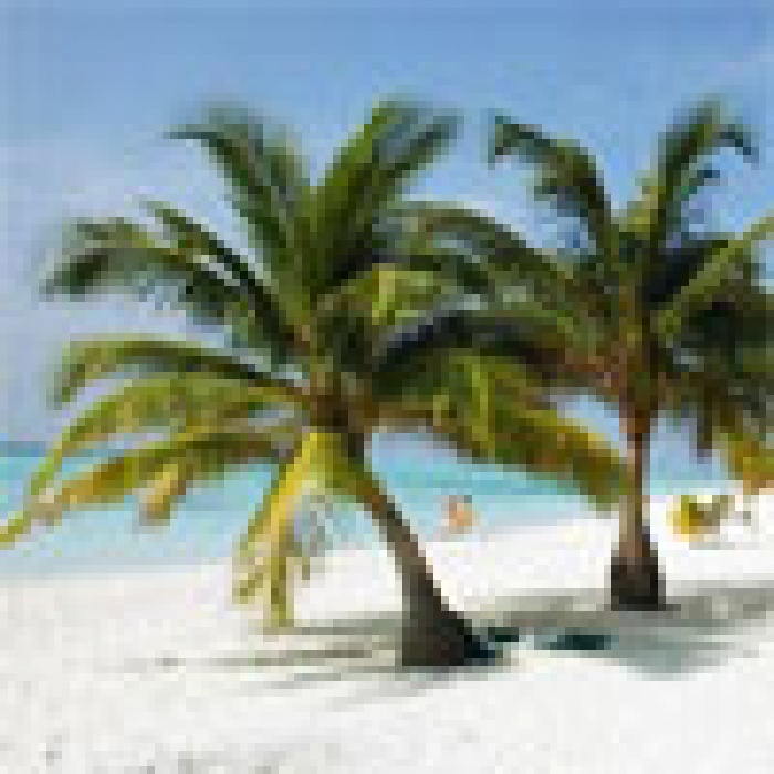 ADDRIVE ИНДПОШИВ