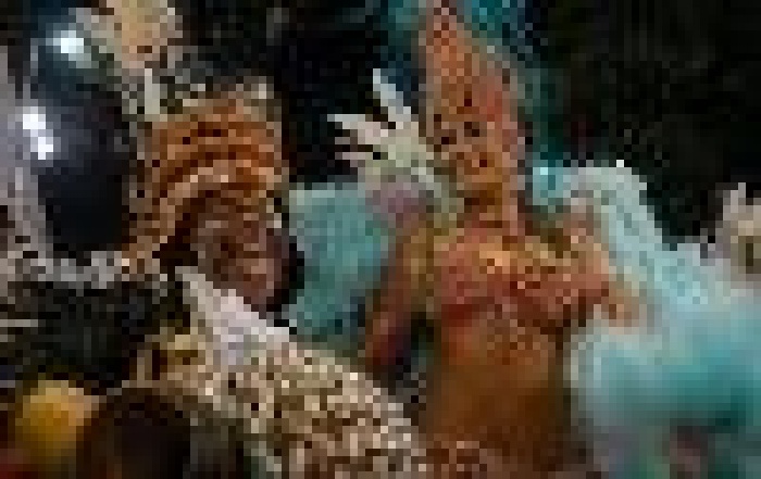 Обзор трендов на 2010-й 