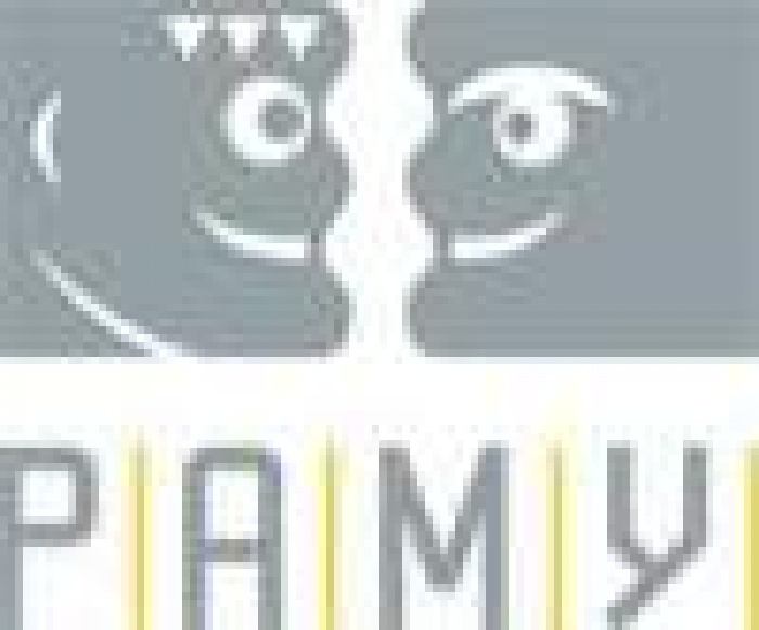 РАМУ против постоплат