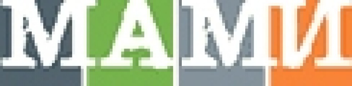 Комментарий МАМИ по поводу ситуации, сложившейся с проведением фестиваля ивент-проектов Event Awards