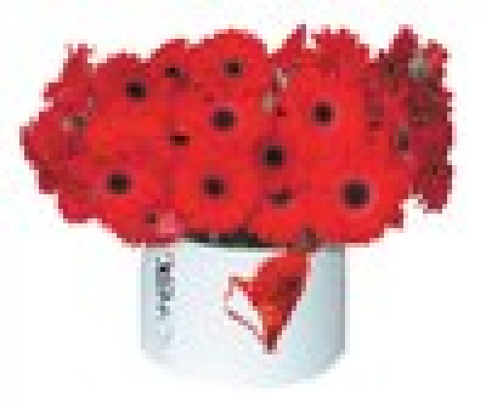 Кейс. Цветок как рекламный инструмент 