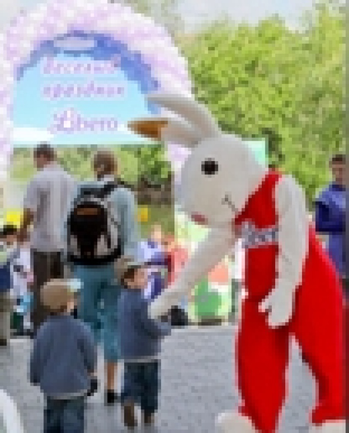 Ark Connect и Libero подарили детям праздник!   