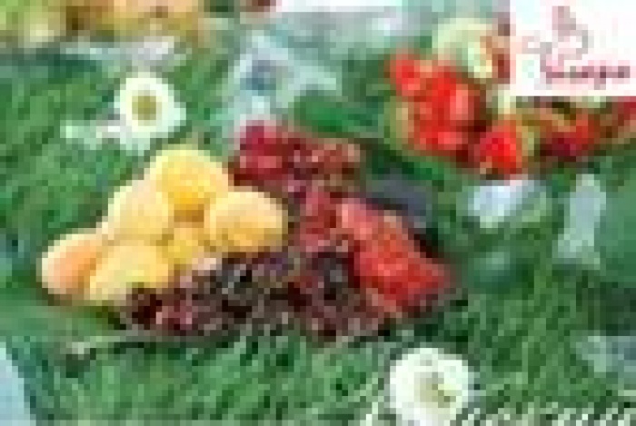 «Фигаро-Кейтеринг» представляет новую стилизацию мероприятия «Райский сад»