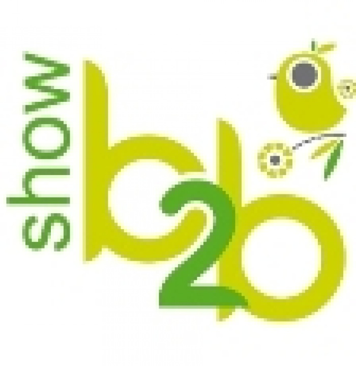 Программа мероприятий ”B2B Show”