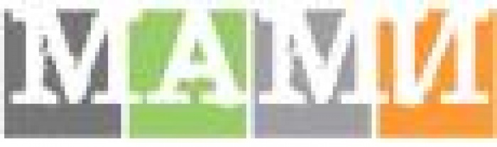 МАМИ представляет к обсуждению классификацию маркетинговых сервисов