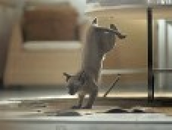 Leo Burnett выбрало победителей "Каннских львов" на свой вкус