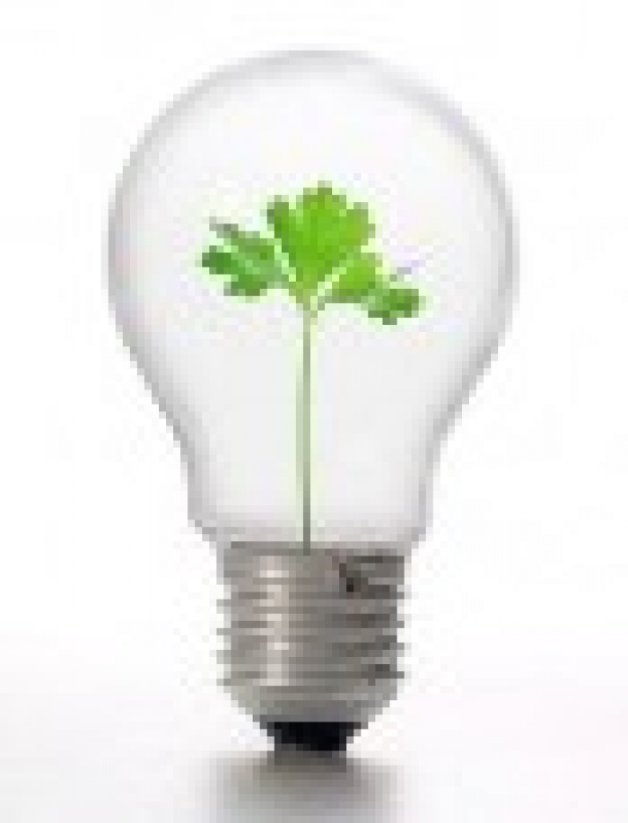 Опрос: как потребители относятся к экологически ответственным брендам