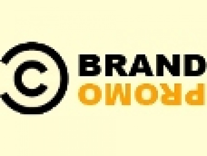 «BRAND PROMO 2011» — бренди й інтернет