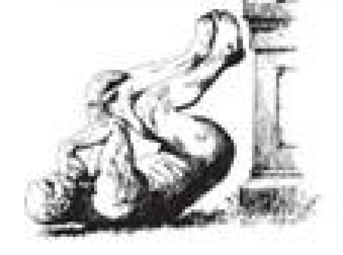 В США объявили лауреатов Шнобелевской премии