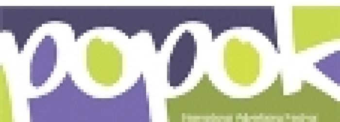 Украинские агентства взяли более 50% наград фестиваля POPOK 2011 