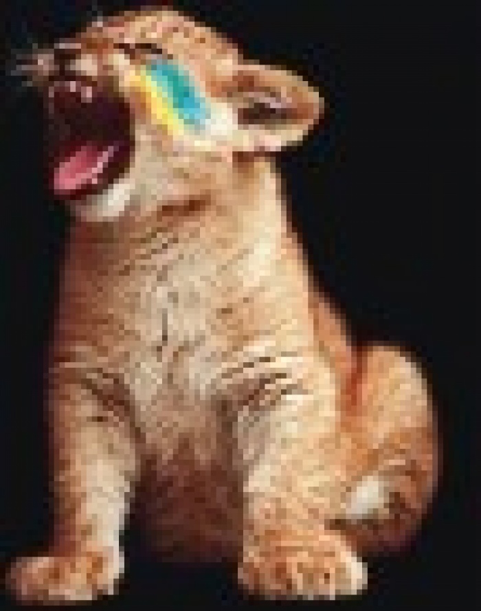 «YOUNG LIONS»: отчеты, итоги, победители!