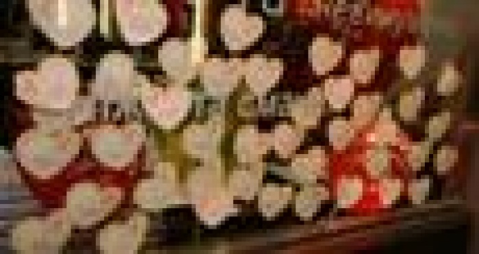 МакДональдз собрал более 2,8 млн. грн. для помощи недоношенным детям