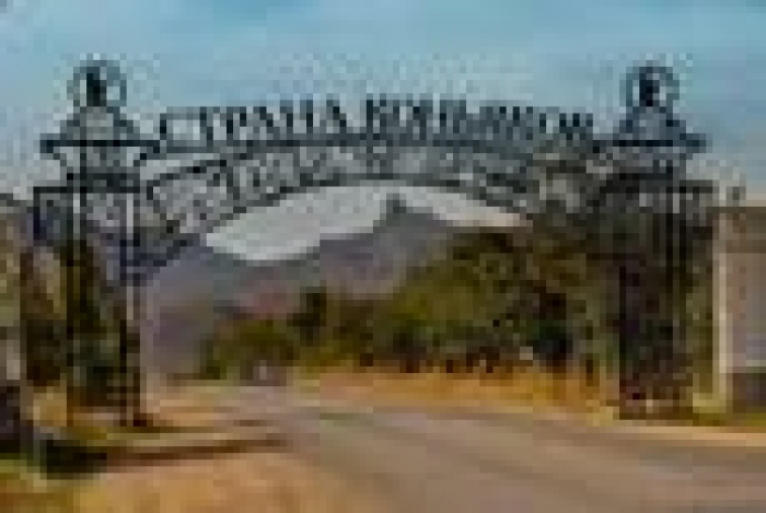 «Коктебель» увеличил долю на рынке.