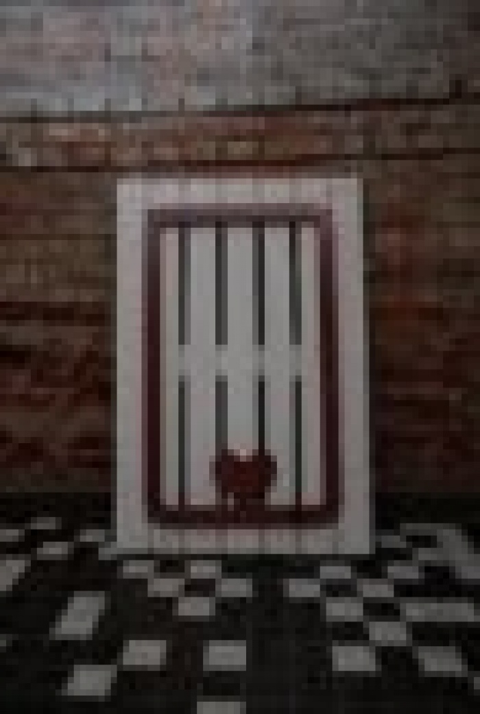 Фестиваль «Анима» в Киеве увидит 12 сердец Игоря Диденко