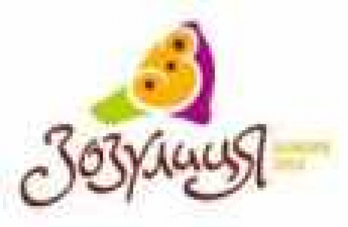 «Зозулица» - эксклюзивный сувенирный партнер на фанзонах ЕВРО 2012