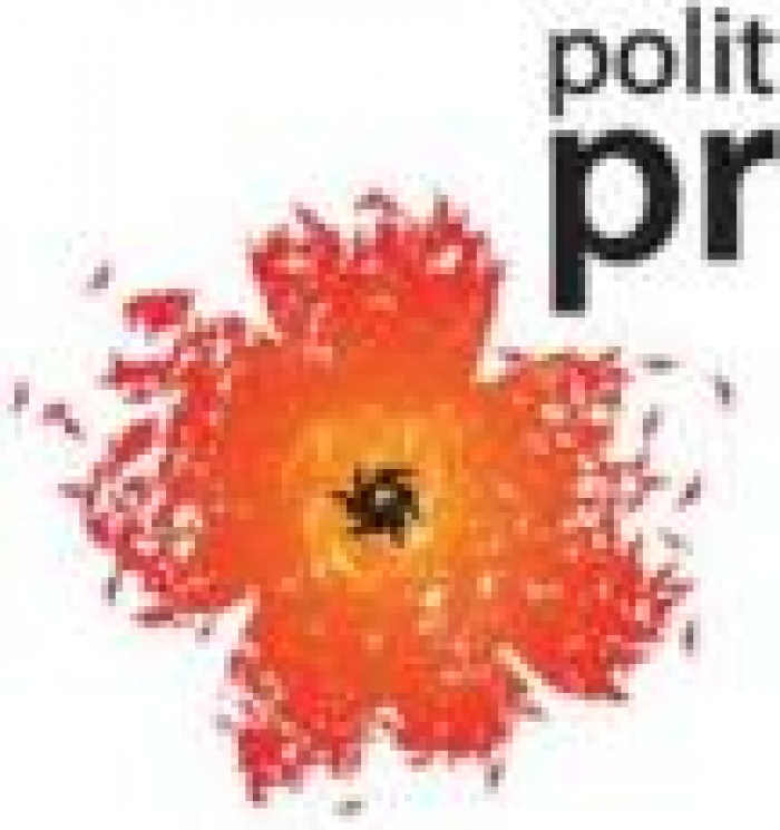 5 бесплатных возможностей от PolitPR