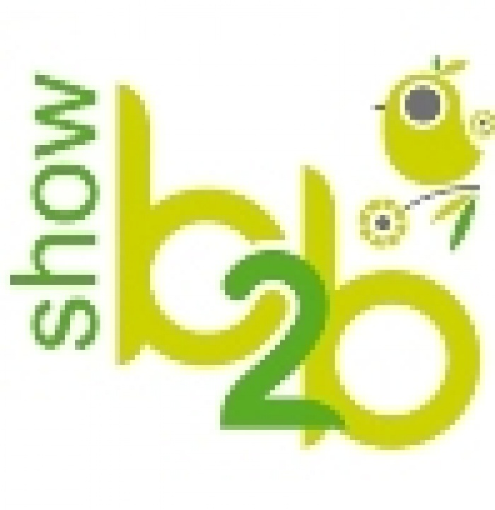 B2B Show приближается