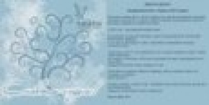 Чайка BTL поздравляет с новогодними праздниками!