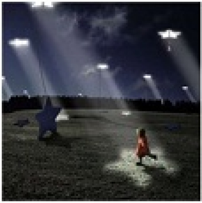 Кто есть кто в Украинском Digitals? 