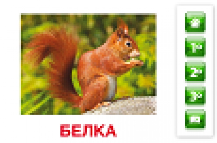 «Вундеркинд с пеленок» и Ebola Communications создали детское развивающее приложение для iPhone и iPad