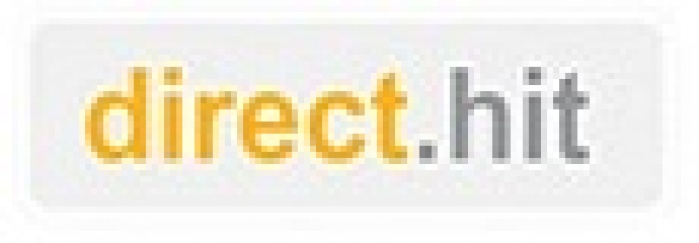 direct.hit 2013 ставит на инфографику