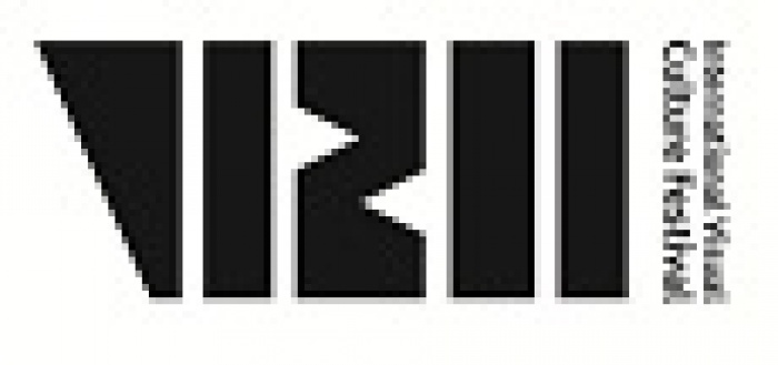 Візії: міжнародний фестиваль  Візуальної культури