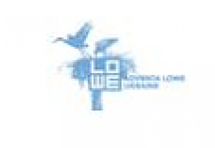 Adventa Lowe: два в одном