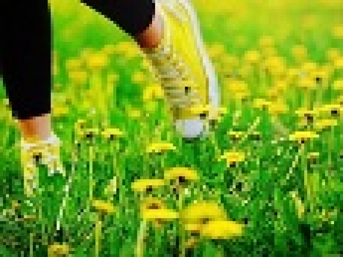 Чем реклама похожа на траву, или Маленький секрет из психологии воздействия