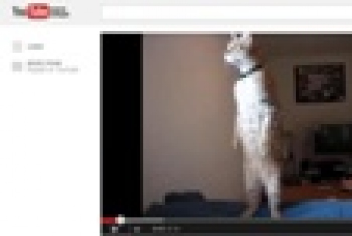 Видео на YouTube можно будет смотреть оффлайн