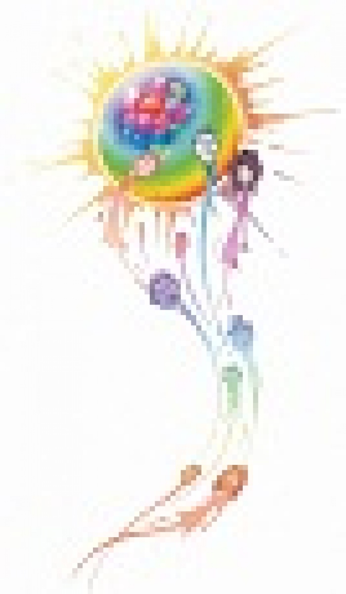 PR-профи в поисках гармонии