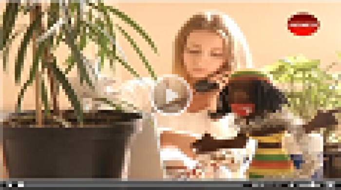 Як працюють корпоративні інкубатори в Україні? 