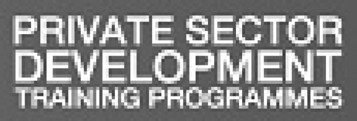 Международная образовательная программа организации SIDA для развития частного сектора