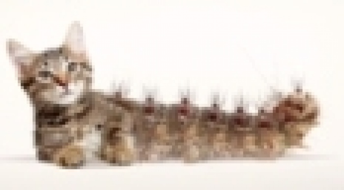 В начале было Слово. В конце было другое