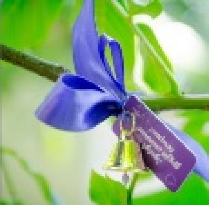 Звоночки нежности Milka в городском парке имени Т.Г. Шевченко