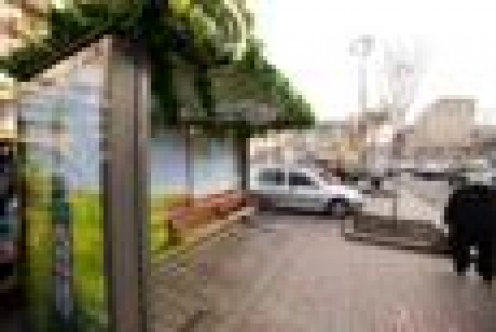 Нетронутая природа на городских остановках